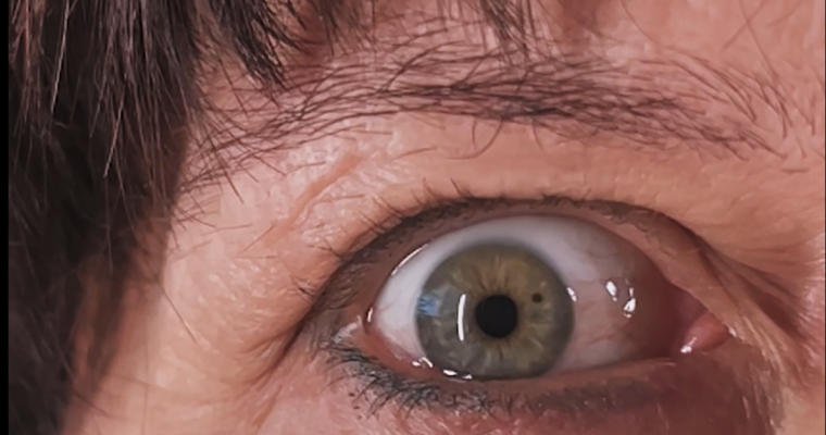 Evolution of Emotion