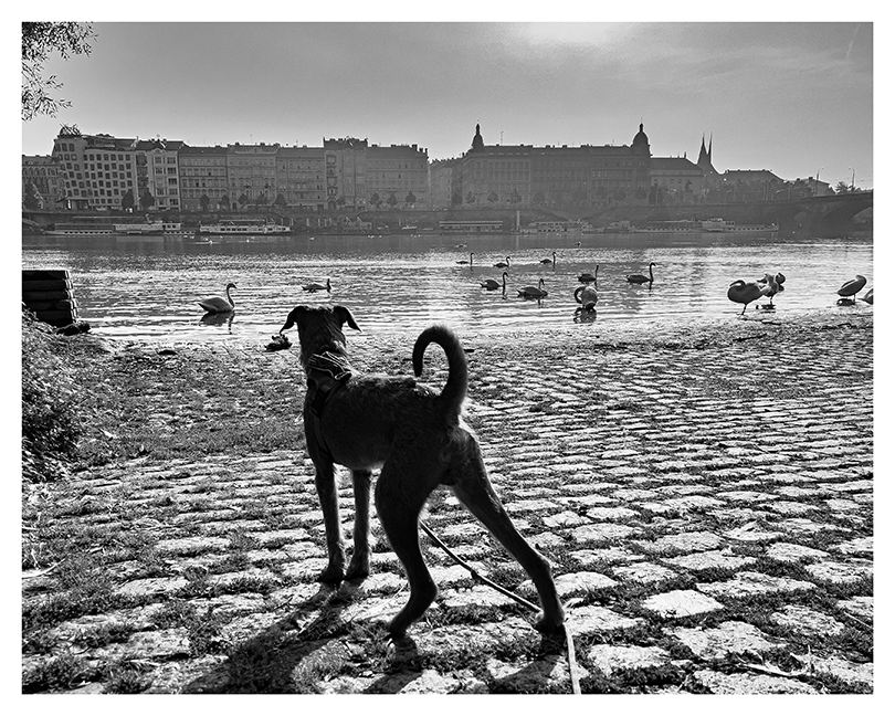 František Puma und die Moldau